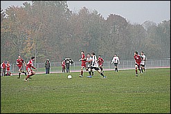 IMG_6330.JPG