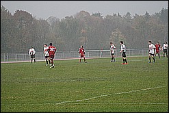 IMG_6342.JPG