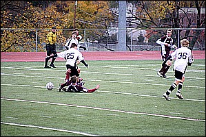 IMG_7365.JPG