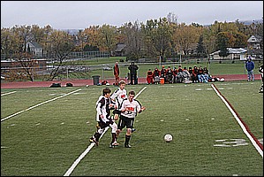 IMG_7421.JPG