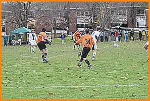 IMG_7579.JPG