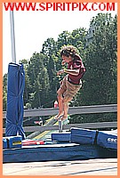 IMG_3700.JPG