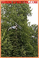 IMG_5668.JPG