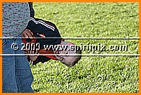 IMG_3334.JPG