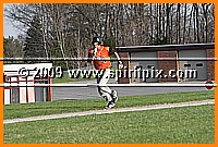 IMG_2916.JPG