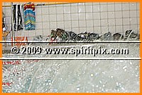 IMG_8514.JPG