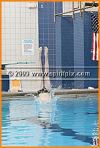 IMG_0882.JPG