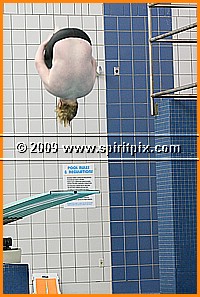 IMG_0934.JPG
