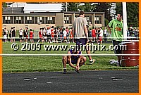 IMG_4896.JPG