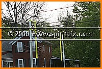 IMG_5014.JPG