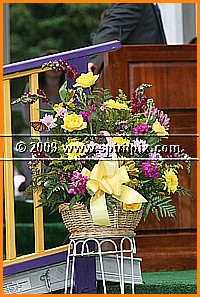 IMG_8005.JPG