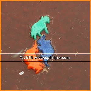 IMG_4372.JPG