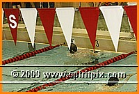 IMG_2425.JPG