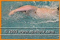 IMG_2562.JPG
