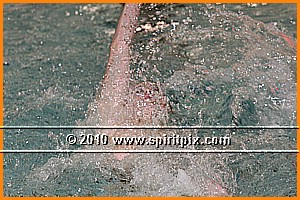 IMG_4894.JPG