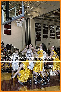 IMG_7847.JPG