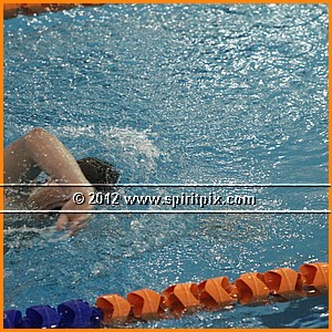 IMG_9530.JPG