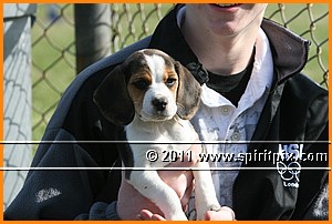 IMG_3353.JPG
