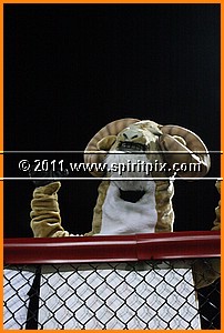 IMG_5689.JPG