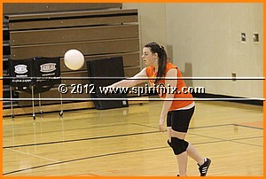 IMG_4242.JPG