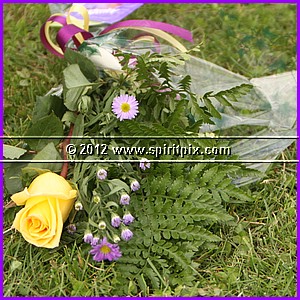 IMG_9018.JPG