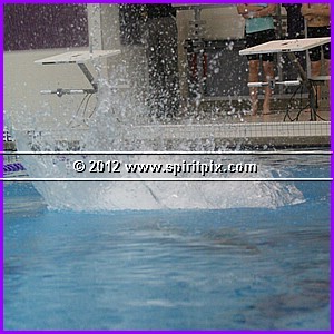 IMG_0415.JPG