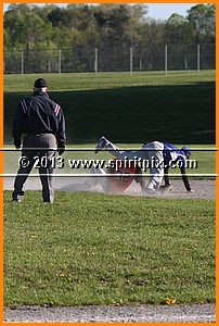 IMG_8259.JPG