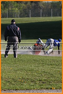 IMG_8260.JPG