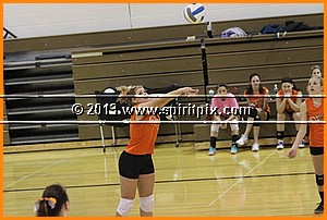 IMG_2215.JPG