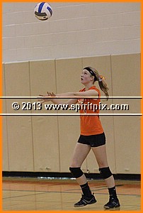 IMG_2377.JPG
