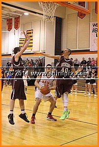 IMG_2138.JPG