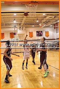 IMG_2251.JPG
