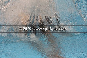 IMG_4863.JPG