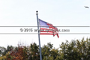 IMG_3413.JPG