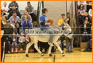 IMG_7272.JPG