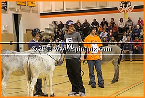 IMG_7367.JPG