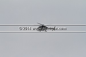 IMG_8247.JPG