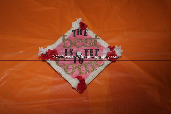 IMG_8390.JPG