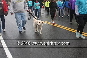 IMG_5478.JPG