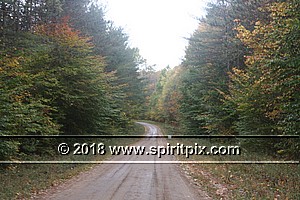IMG_5751.JPG