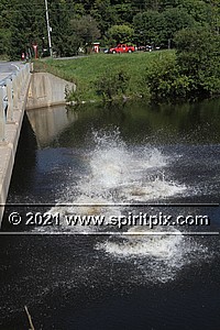 IMG_2858.JPG