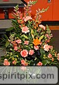 IMG_3256.JPG